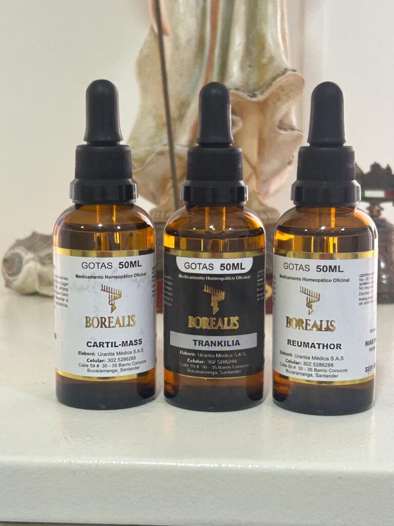 whatsapp image 2025 11 12 at 1.16.40 pm whatsapp image 2025 11 12 at 1.16.40 pm