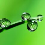 leaf, droplets, reflection, grass, water, drops, raindrops, dew, dewdrops, plant, nature, green, closeup, leaf, green, green, green, green, green